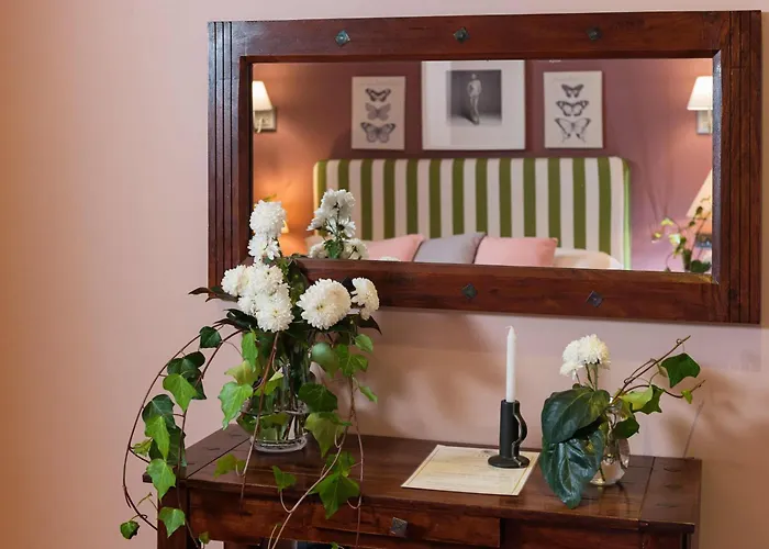 Areela Boutique 3*